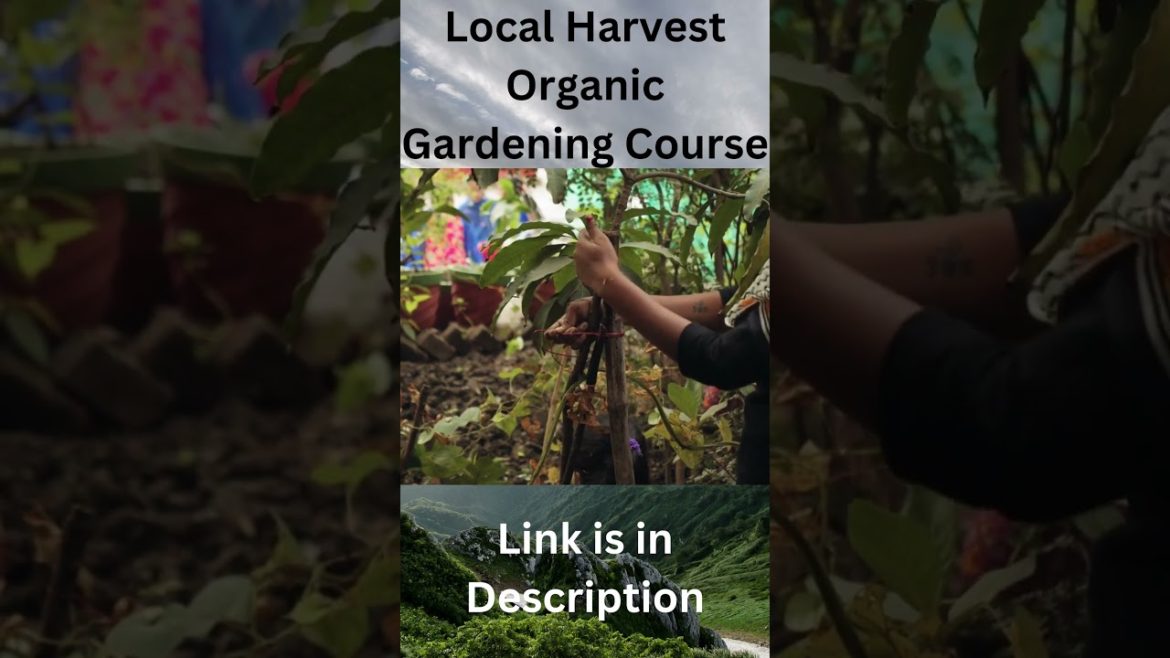 Local Harvest Organic Gardening Course | Gardening |Gardening Ideas For Home | shorts