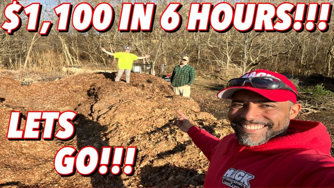 CRUSHING FALL CLEANUPS | $1,100 in 6 HOURS!!! #Leaf setup