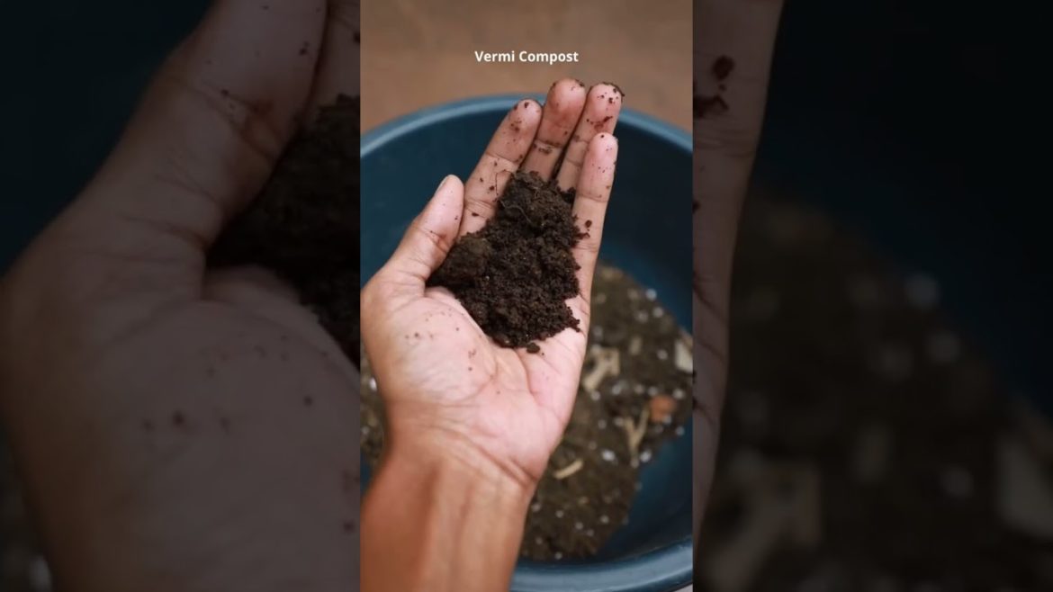 Gardening Tip No. 7 - Provide right Soil-mix to your plant | Discussed Why ??