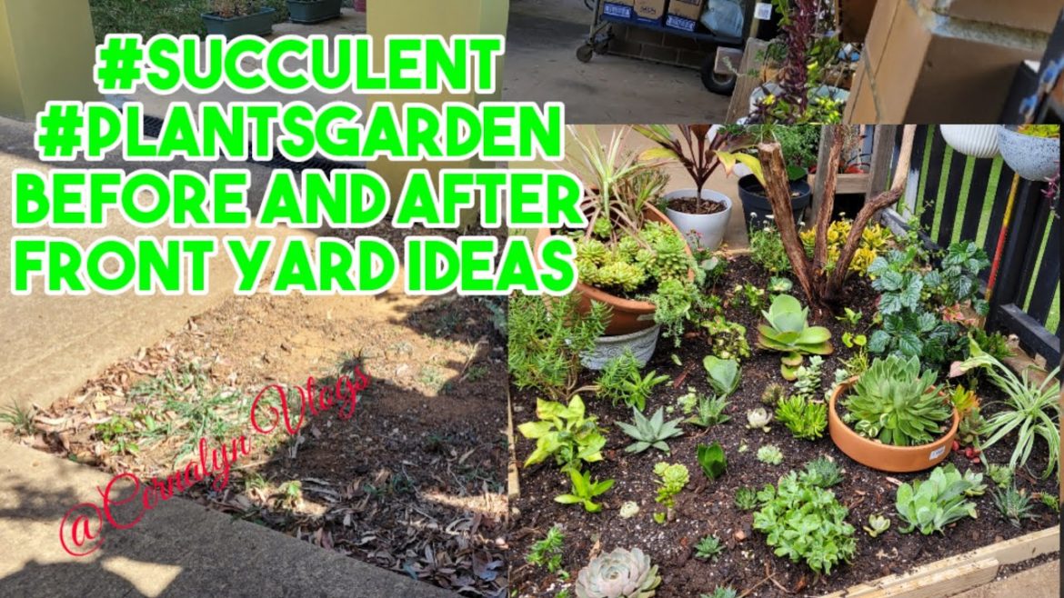 #Succulent #Plantsgarden Before and after  front yard ideas @Cernalyn Vlogs