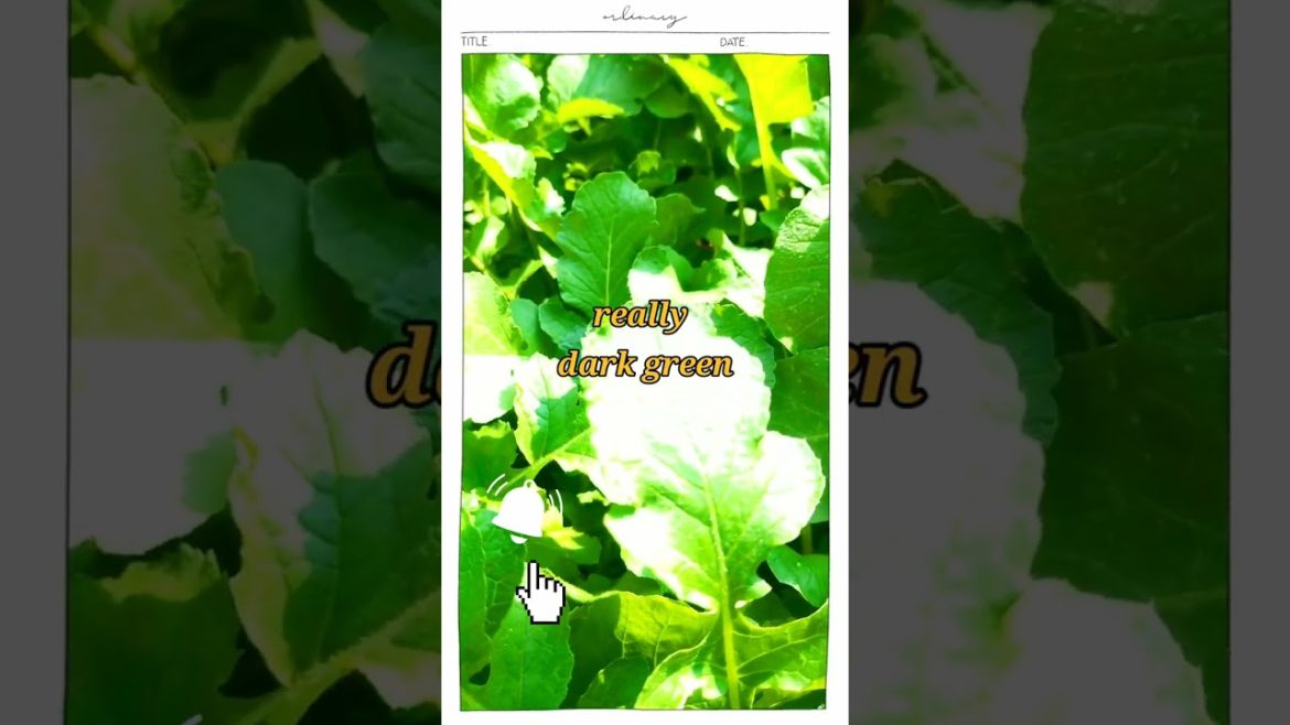 #shorts#Small Space Gardening Tips & Techniques at Home#Garden Ideas Care & Leafy Vegetable