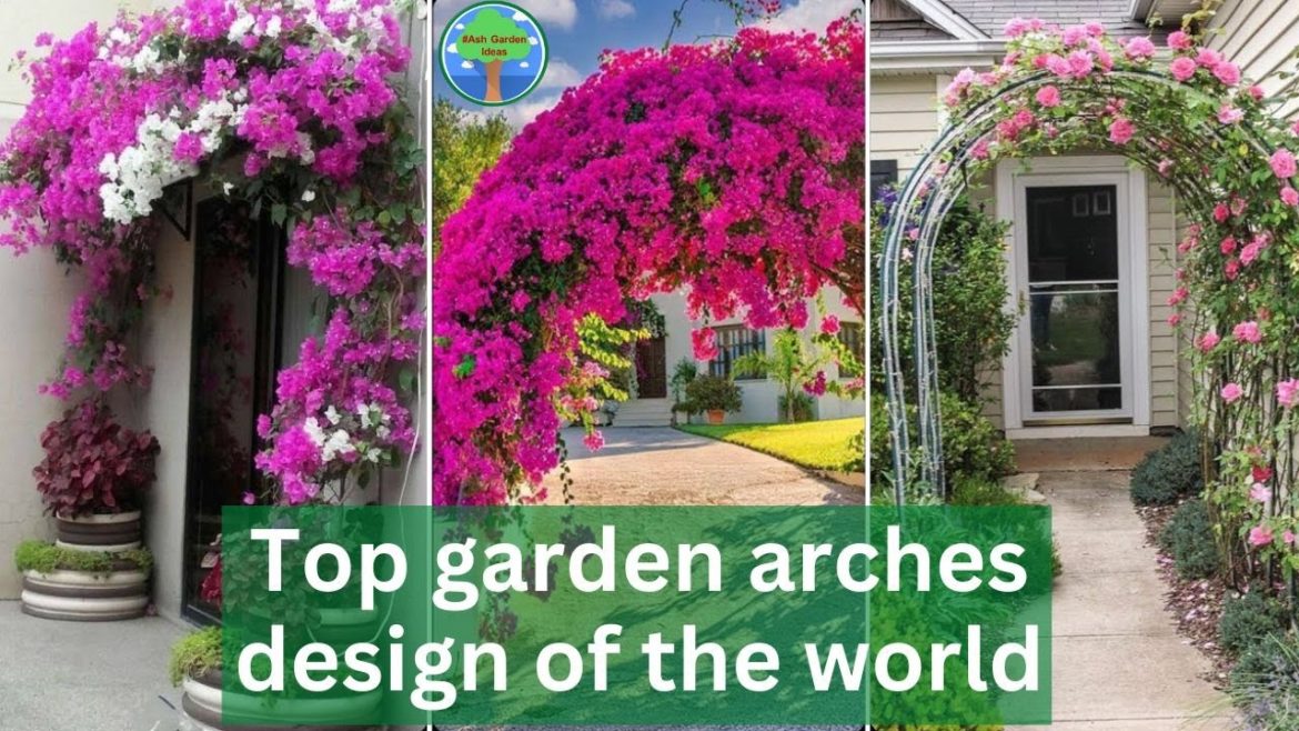 Ash garden arch ideas | garden trellis | Make your garden beautiful|Top garden arches design|#garden Ash garden arch ideas | garden trellis | Make your garden beautiful|Top garden arches design|#garden