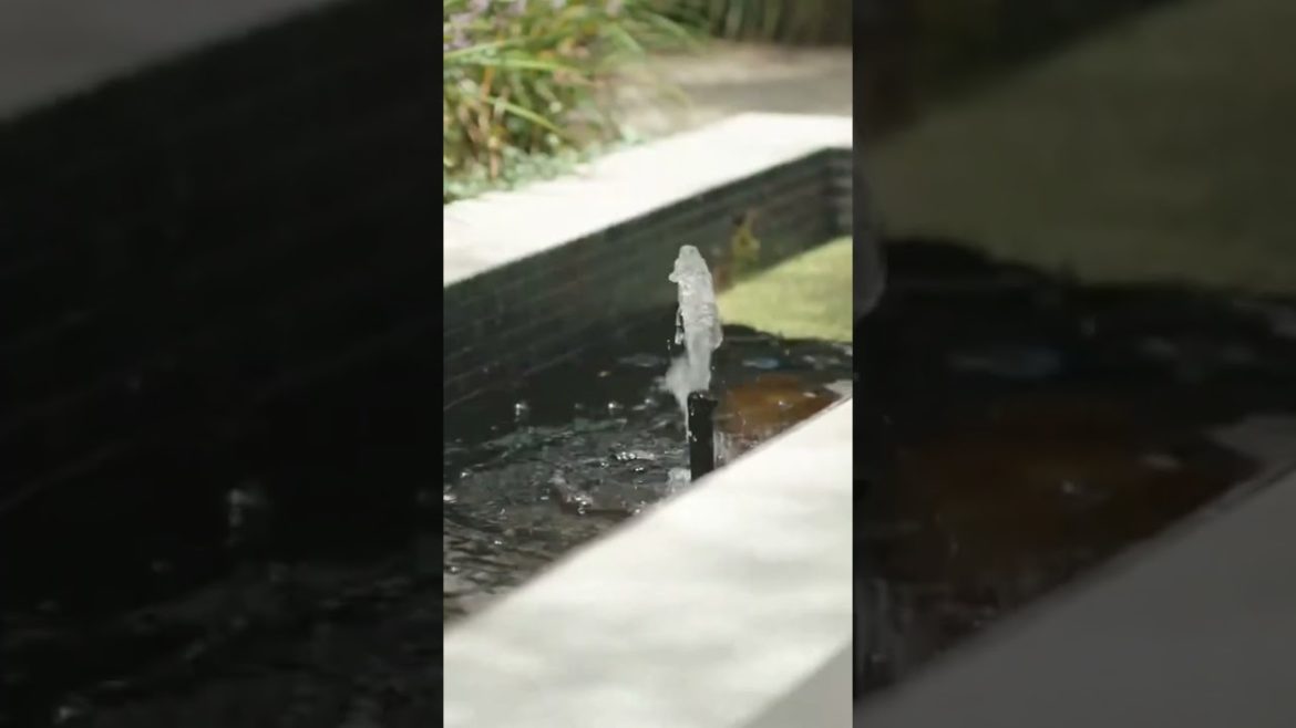 Backyard Patio Design Ideas shorts Backyard Patio Design Ideas shorts