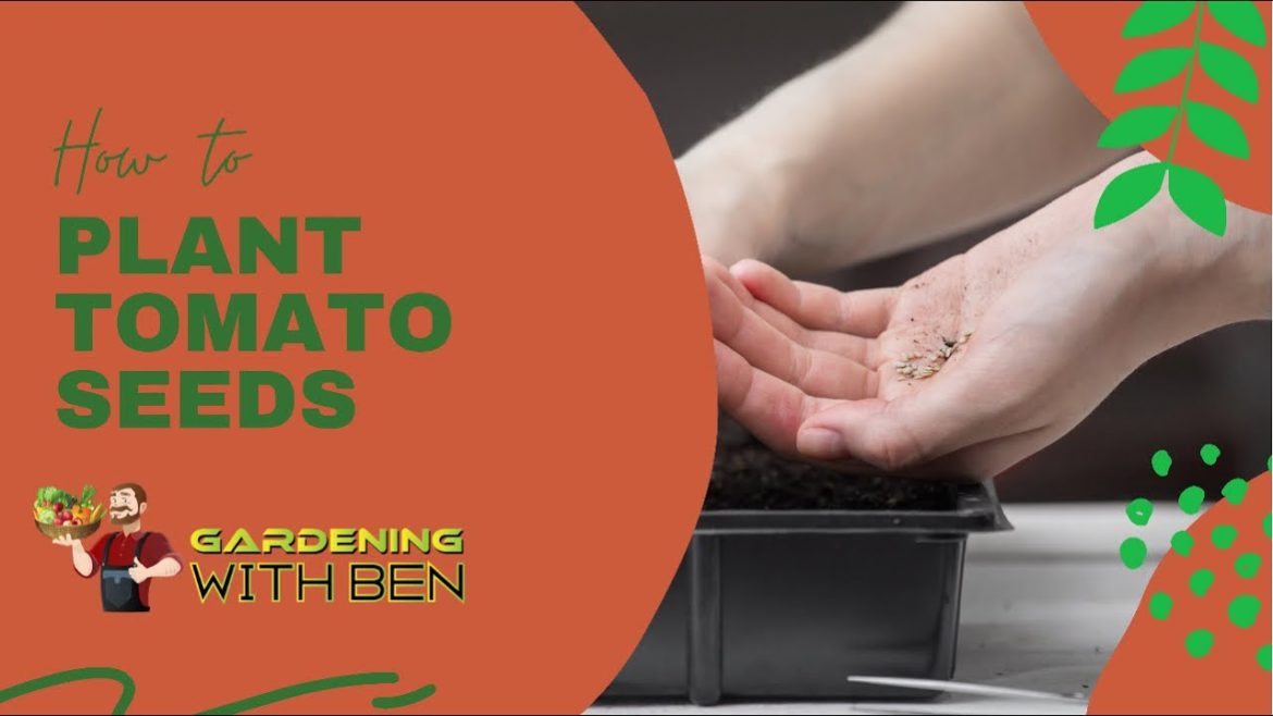 Tips for Planting Tomato Seeds: Advice from an Experienced Gardener Tips for Planting Tomato Seeds: Advice from an Experienced Gardener