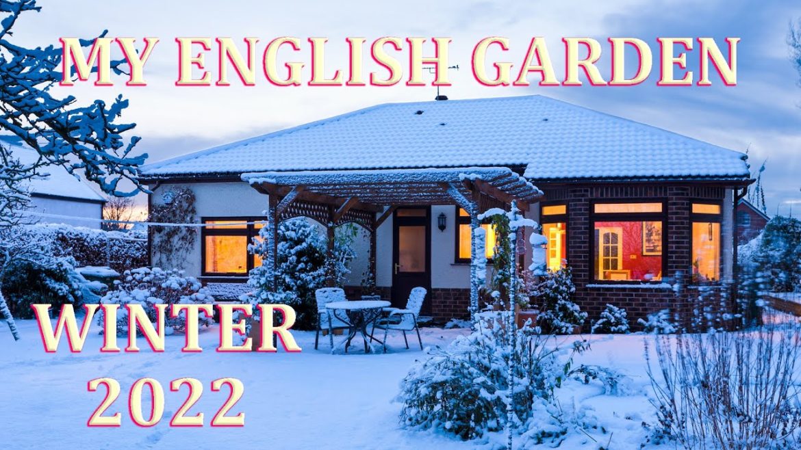 Winter Snow - My English Garden - 2022