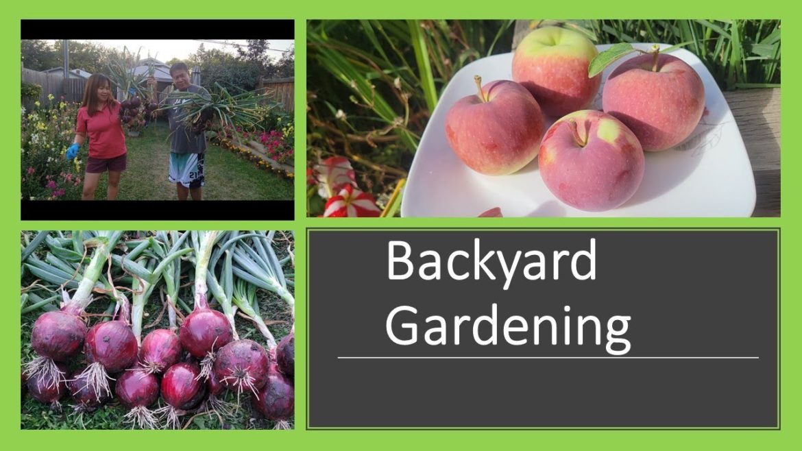 Backyard Gardening