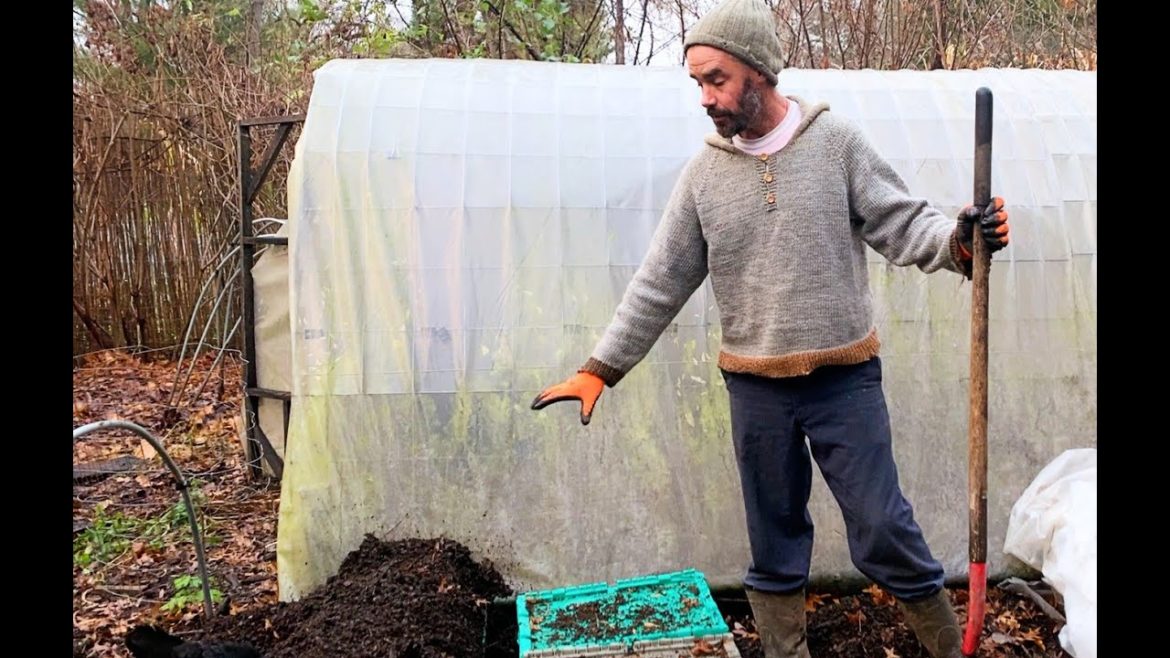 Tree Seeds – Storing for Winter Tree Seeds - Storing for Winter