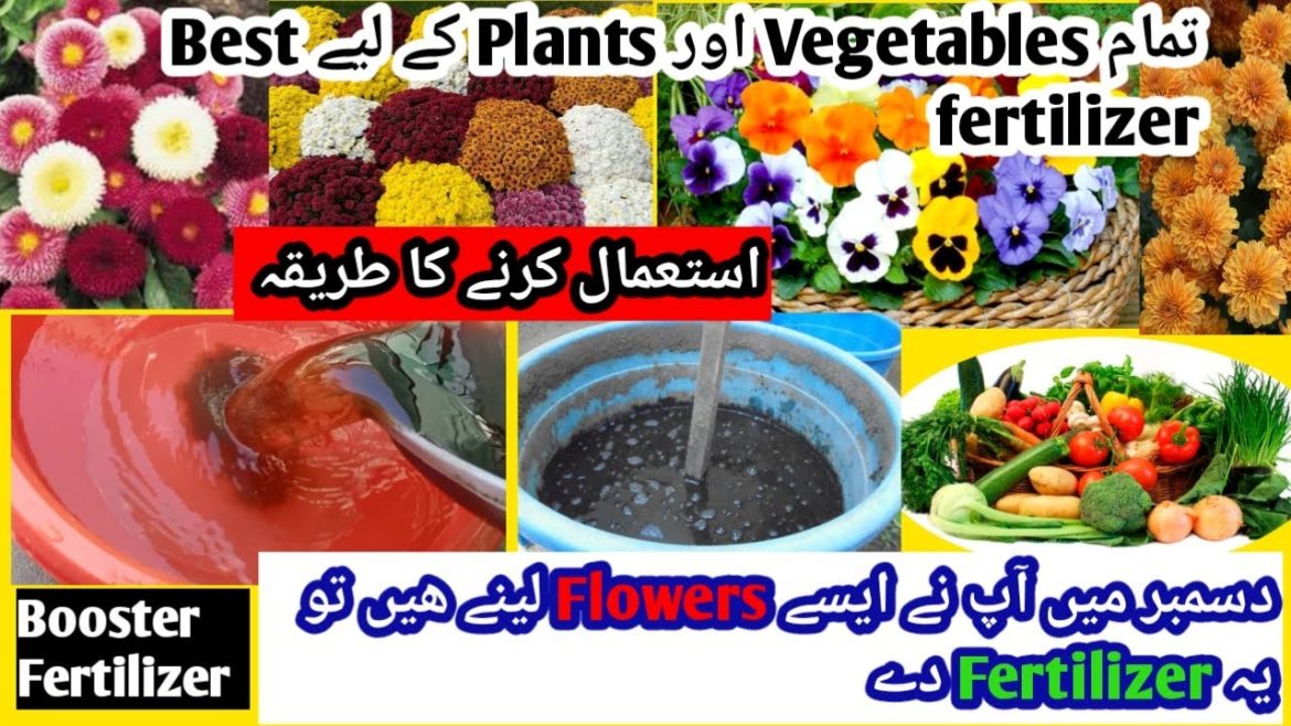 Es Fertilizer K Use Kerny Sy Ap K Garden Sy Kabhi Flowers Khatam Nai Hongy/Top Liquid Fertilizer 🔥