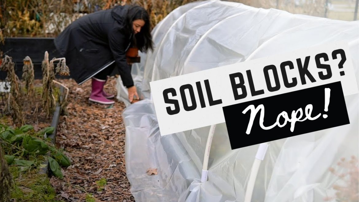 I tried Soil Blocks this year, AWESOME! But No Thank You! Hoop House DIY