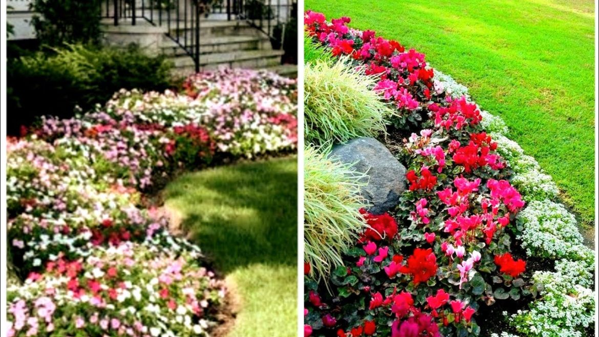 Glamarous and outclass front yard landscape decoration ideas and organization | Home exterior ideas