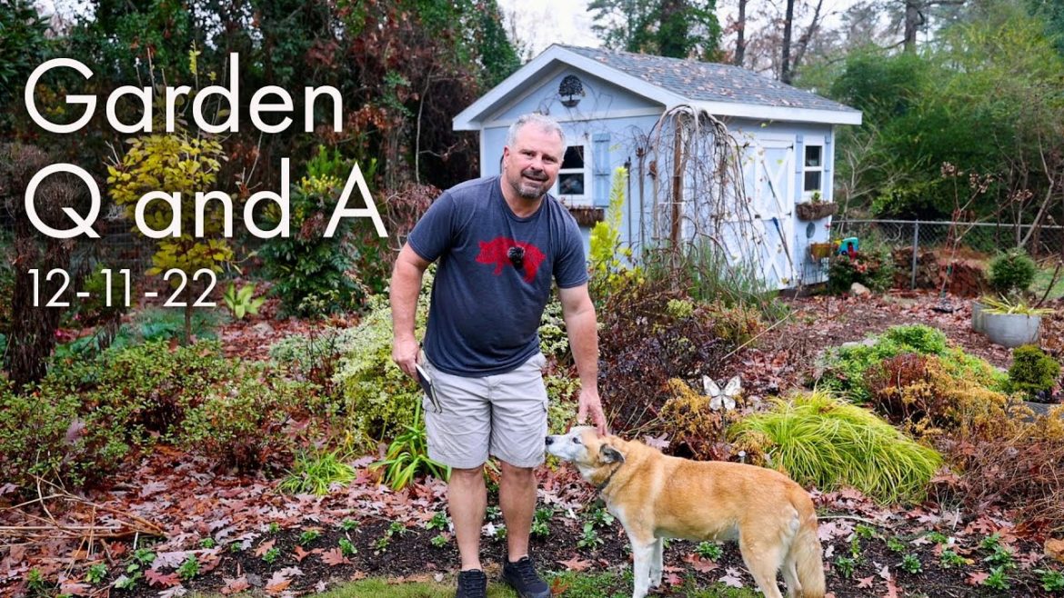 Great Garden Questions Answered - Bulbs in Containers, Podcast, Cardboard Sheet Mulch