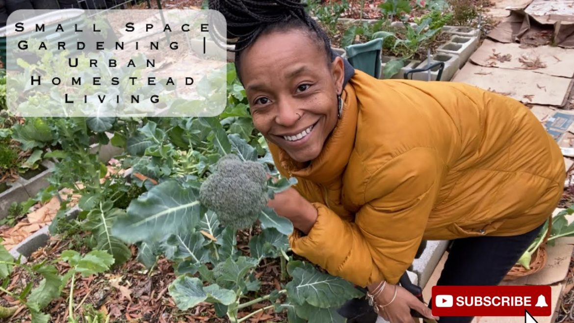 Urban Homestead Living | Harvesting | Caring for the Winter Freeloaders Urban Homestead Living | Harvesting | Caring for the Winter Freeloaders