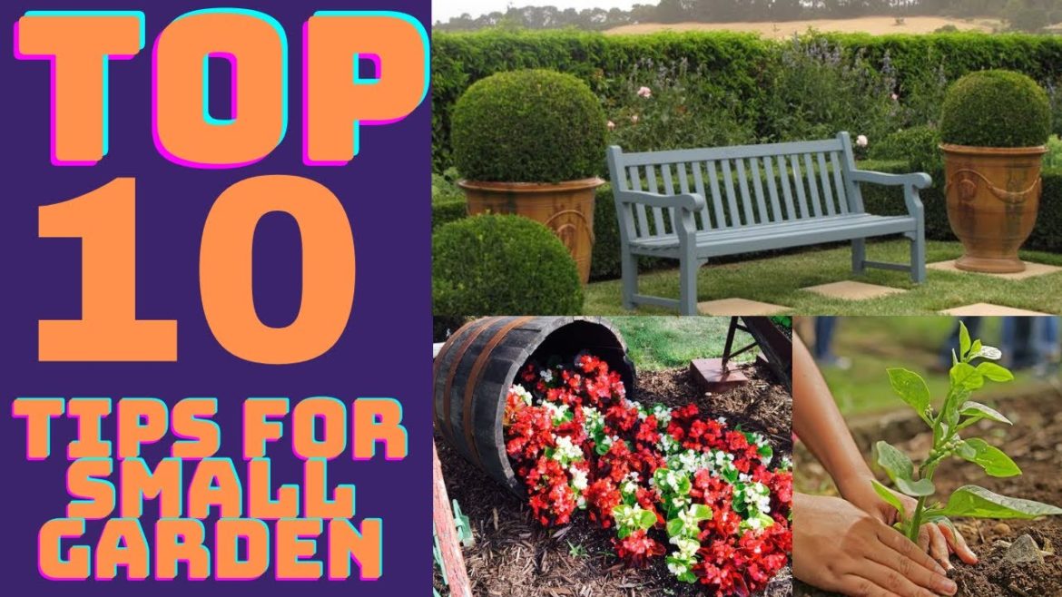 Top 10 Tips For Small Garden Design