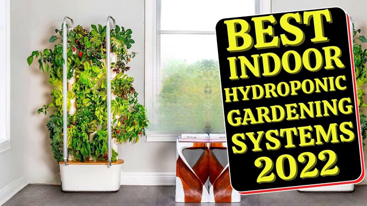 Best Indoor Hydroponic Gardening System 2022 [TOP 5] 💥