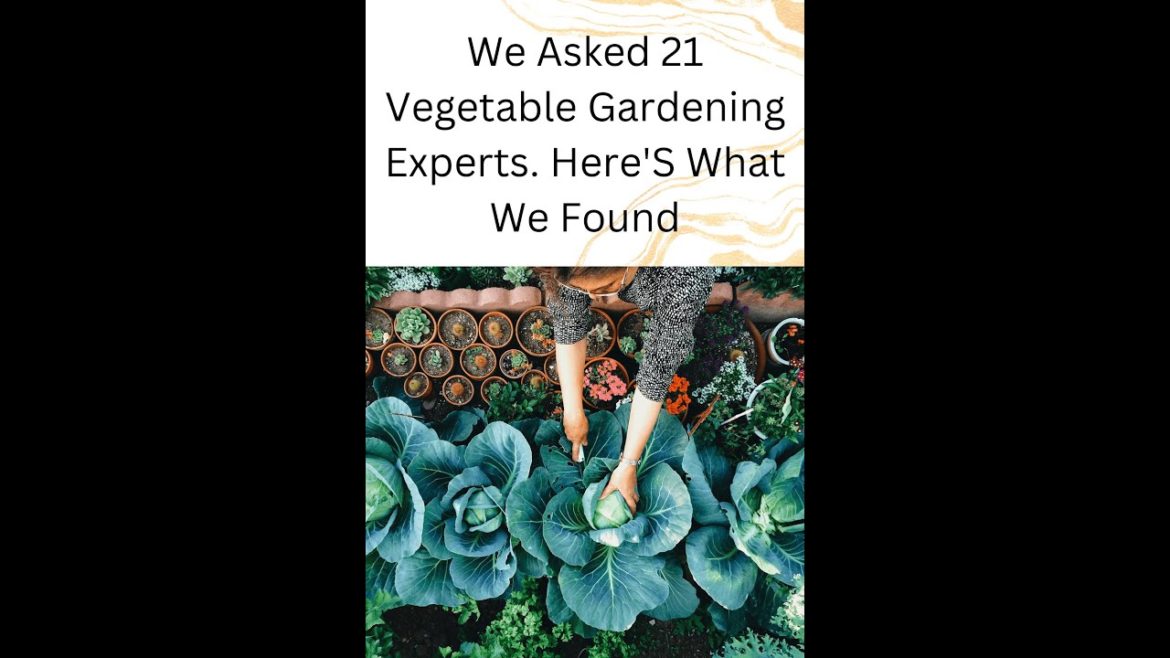 We Asked 21 Vegetable Gardening Experts. Here's What We Found #shorts #gardeningtips