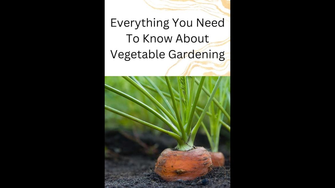 Everything You Need To Know About Vegetable Gardening#smallgarden  #homesteading #shorts