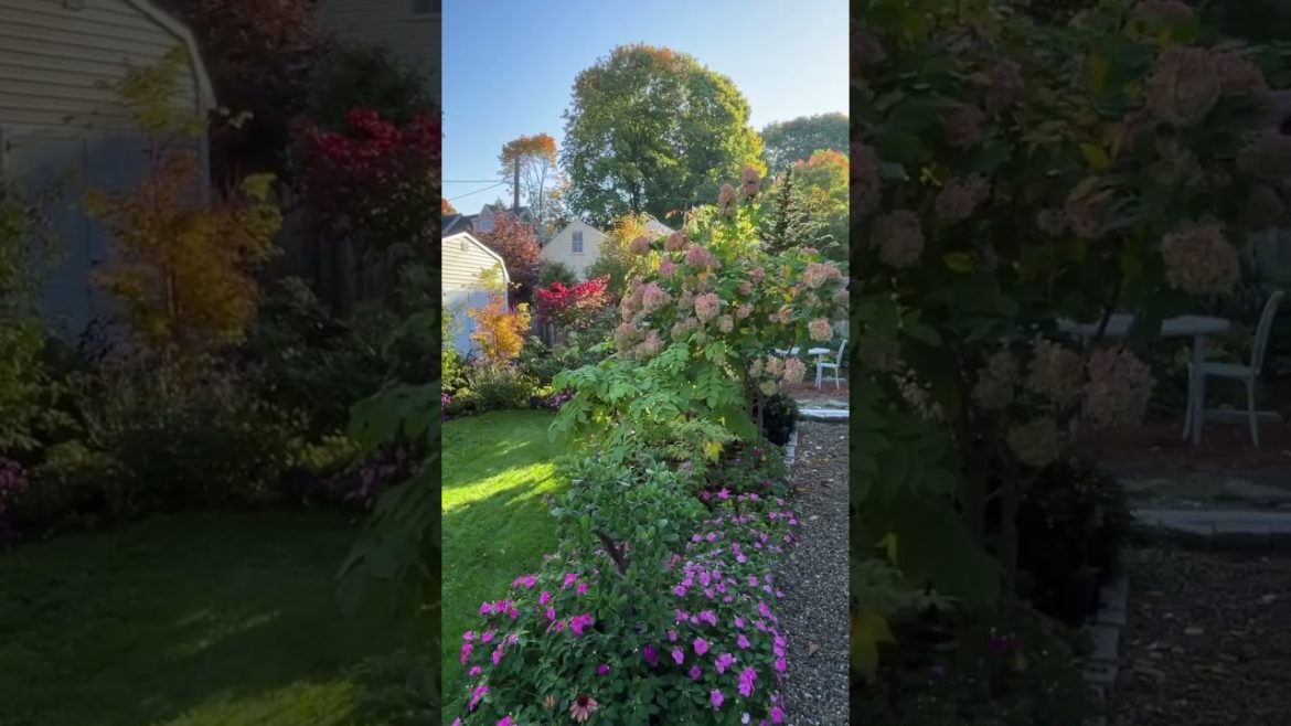 Garden projects: feel great about what you can accomplish!