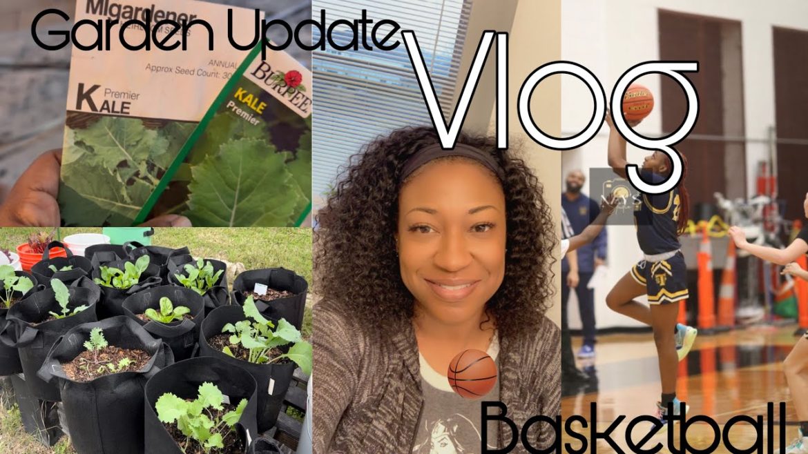 Vlog | Basketball Concessions & Container Garden + dropping seeds late 😩 in Tx Zone 8b