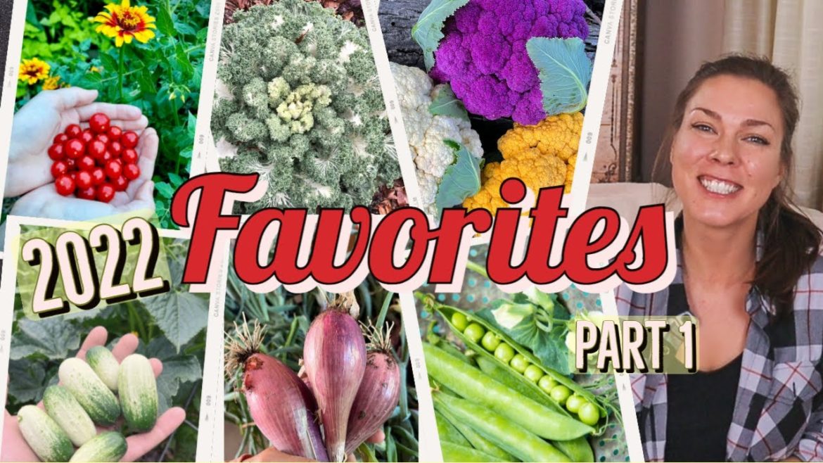 Best Vegetable Varieties to Grow- 2022 Favorites, PART 1 Best Vegetable Varieties to Grow- 2022 Favorites, PART 1