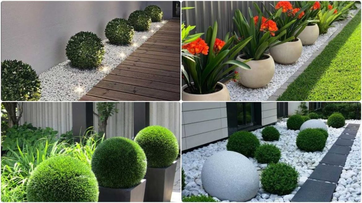 50 MODERN GARDEN DESIGN IDEA