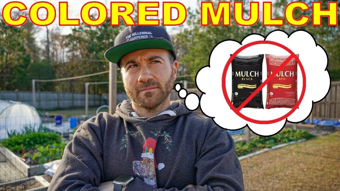 This Is Why I NEVER Use Colored Mulch!