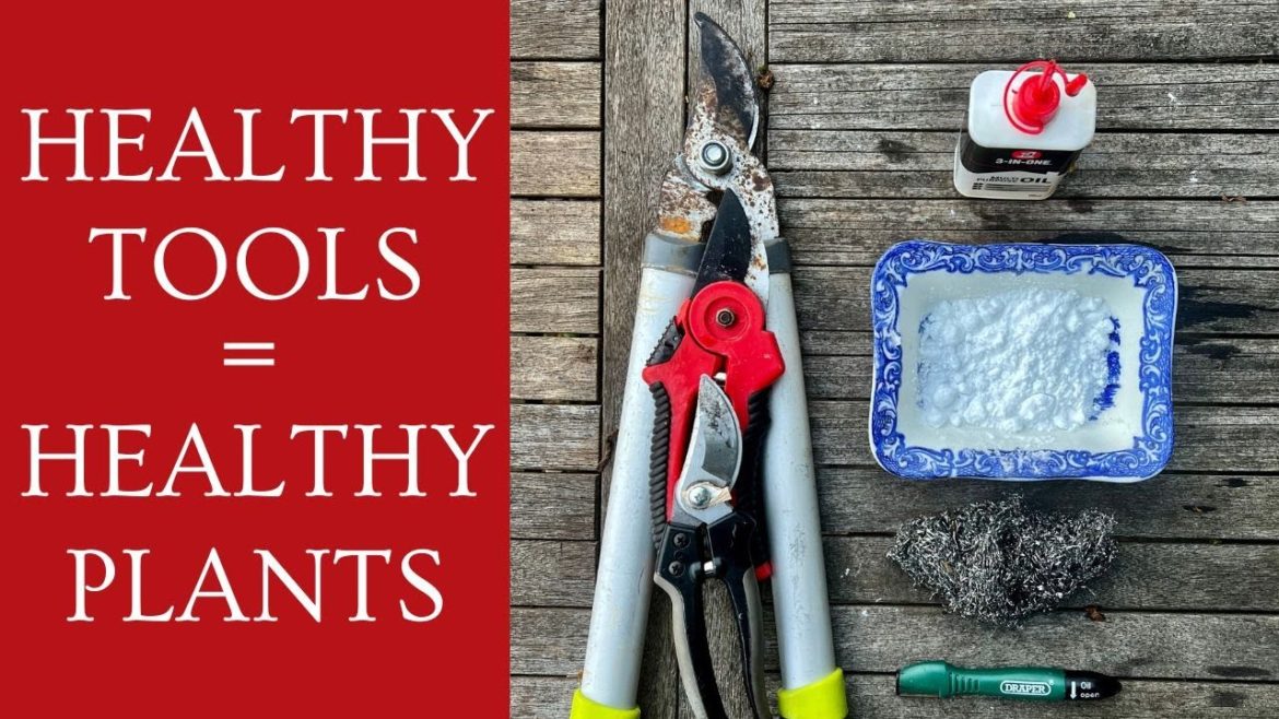 EASY WAYS TO KEEP YOUR GARDEN TOOLS HEALTHY! EASY WAYS TO KEEP YOUR GARDEN TOOLS HEALTHY!