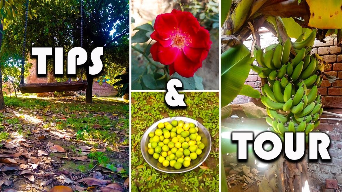 MY Garden Tour With Best Lifetime Tips -  Self Help