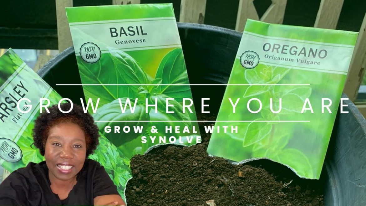 How I Started My Garden On My Balcony | Gardening In Small Space Part 2 | SLOW LIVING How I Started My Garden On My Balcony | Gardening In Small Space Part 2 | SLOW LIVING