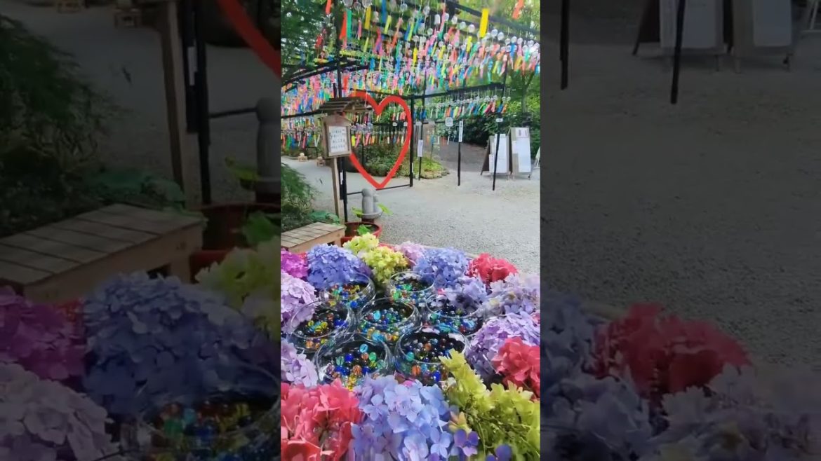 Japan is beautiful #japan #japantravel #travel #travelvlog #japanese #japaneseculture