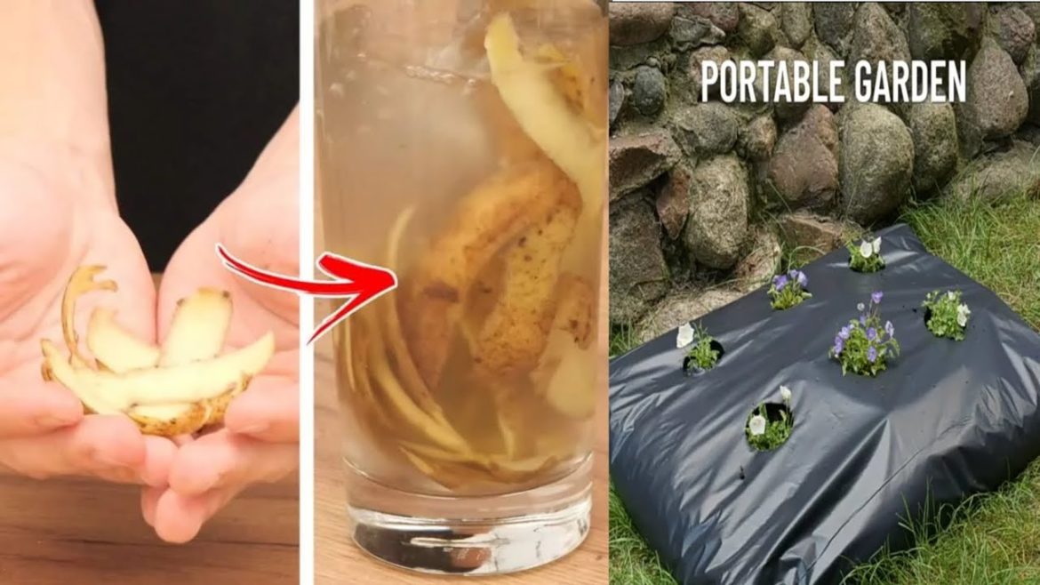 Garden Hacks | 7 hacks to improve your garden Garden Hacks | 7 hacks to improve your garden