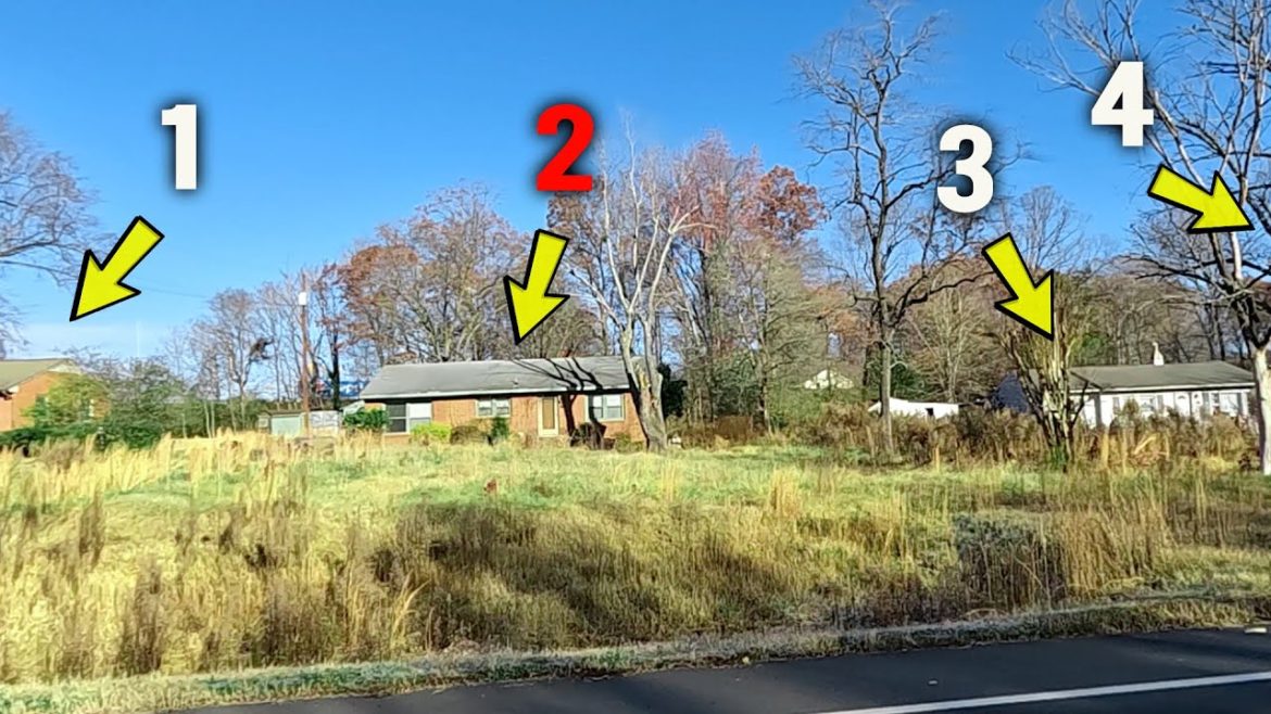 We FOUND an ABANDONED NEIGHBORHOOD and Decided to TRANSFORM EVERY YARD for FREE! 😯