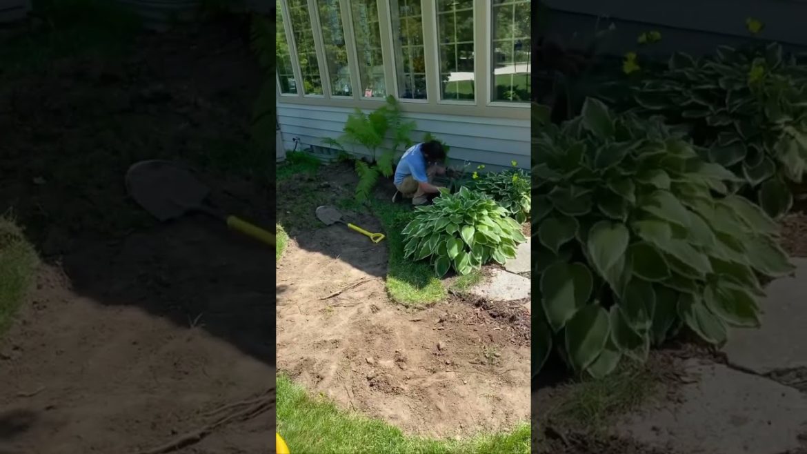 BIG change 🔄 in little time