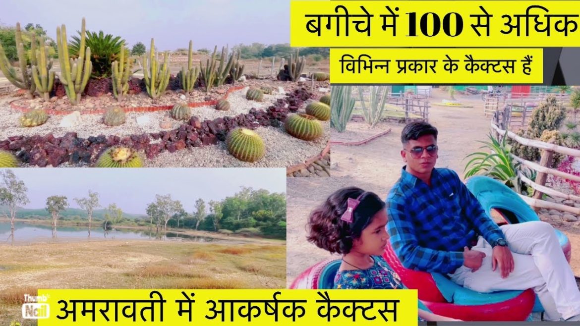 अमरावती में आकर्षक कैक्टस उद्यान से पर्यटक आकर्षित होते हैं अमरावती में आकर्षक कैक्टस उद्यान से पर्यटक आकर्षित होते हैं
