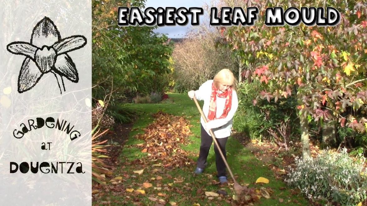 Easiest Leaf Mould, How to Use it, Difference Between Compost & Leaf Mould || Quick & Easy Guide