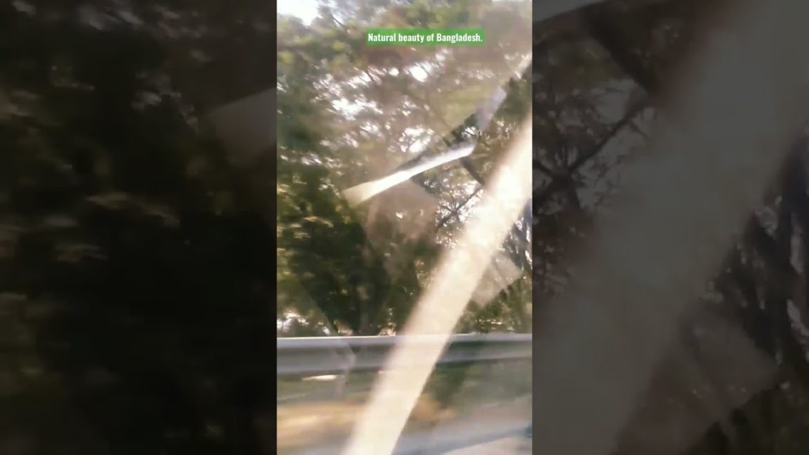 Natural beauty of Bangladesh. #shorts