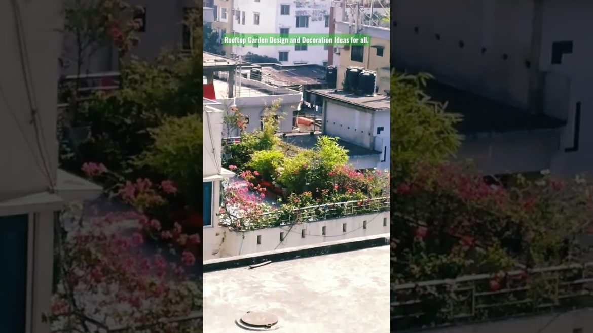 Rooftop Garden Design and Decoration Ideas for all. #shorts