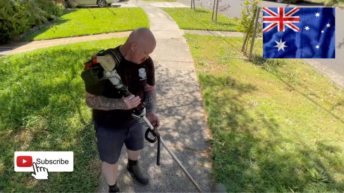 BIG Frontyard & Messy Backyard Lawn Service