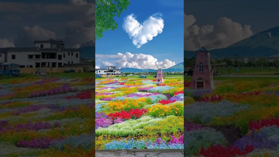 Japanese garden 💚 nature 🌿 morning view with music 🎶 #music #nature #garden #shorts #softpeace