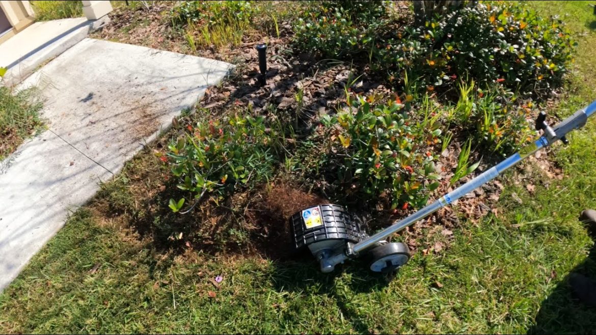 Fixing Your Terrible Landscaping QUICKLY WITH SOME cheap weed pulling!