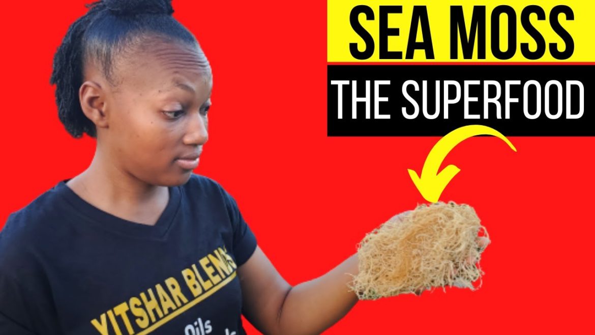 π² Is this THING for Real? | Amazing SEA MOSS! π―π² #superfood π² Is this THING for Real? | Amazing SEA MOSS! π―π² #superfood