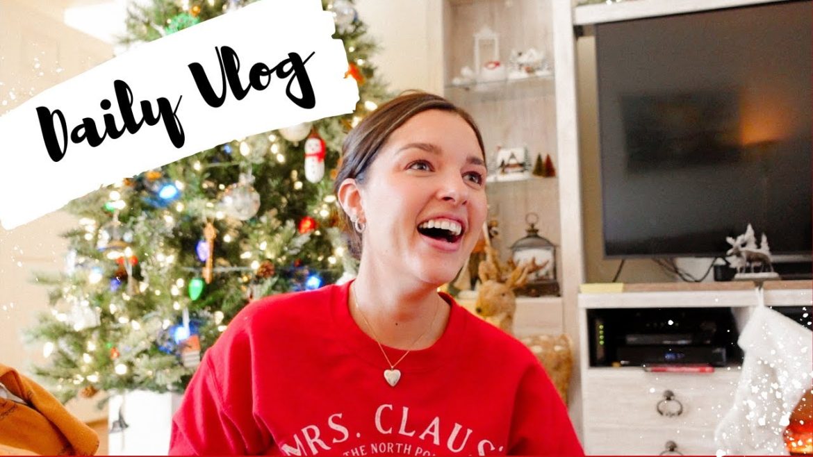 Daily Vlog | Festive Plans, 4 Month Appt, & Target Haul Daily Vlog | Festive Plans, 4 Month Appt, & Target Haul