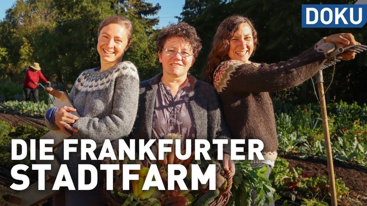 Erfolgreich mit Permakultur? – Die Frankfurter Stadtfarm | doku | erlebnis hessen Erfolgreich mit Permakultur? - Die Frankfurter Stadtfarm | doku | erlebnis hessen