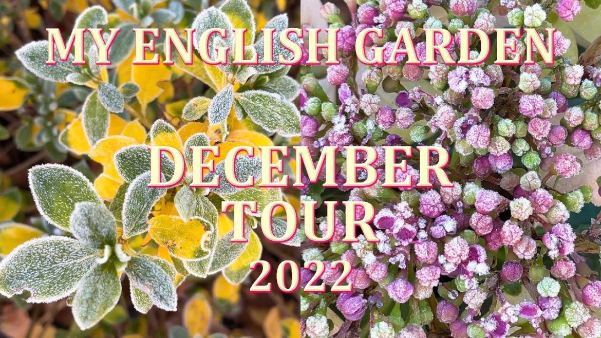 Winter December Tour - My English Garden - 2022