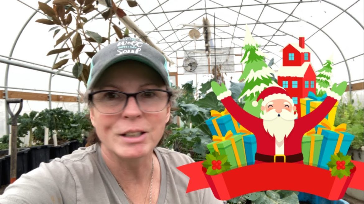 White Christmas in NTX? Weather changes coming. Update! White Christmas in NTX? Weather changes coming. Update!