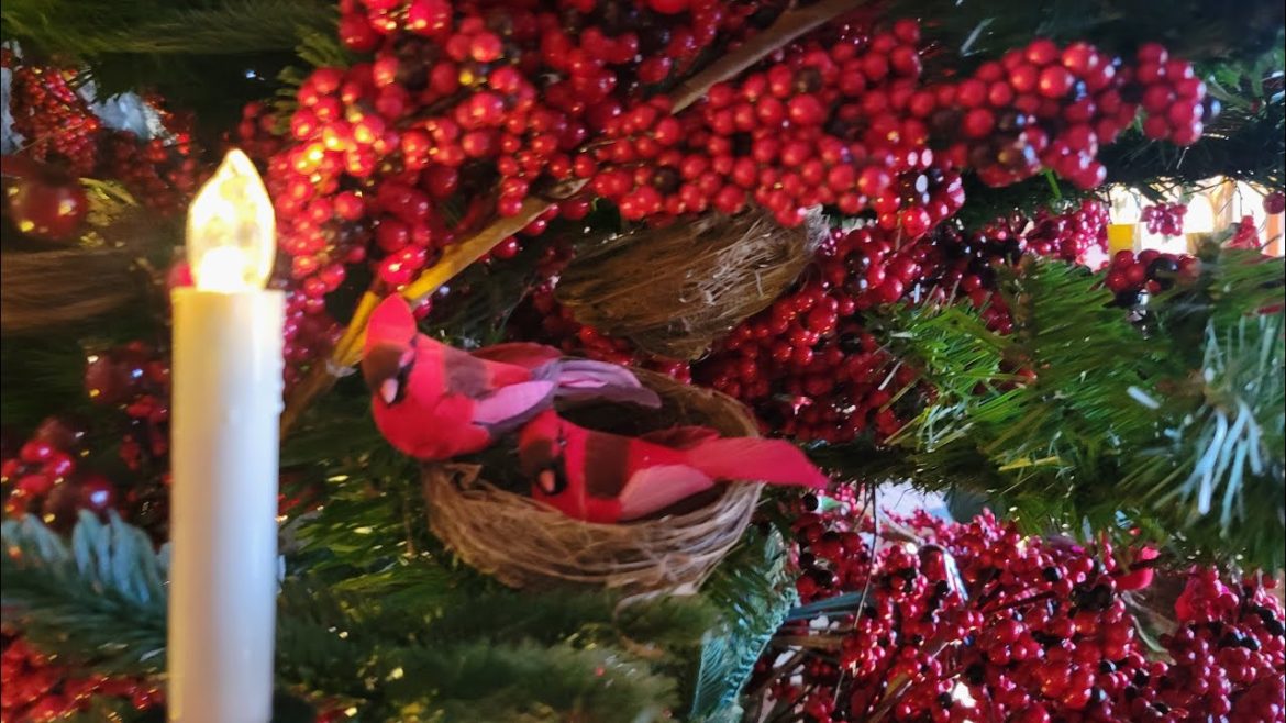 Christmas Tree Storage Tips and the Final Reveal of the Cranberry and Cardinal Tree! Christmas Tree Storage Tips and the Final Reveal of the Cranberry and Cardinal Tree!