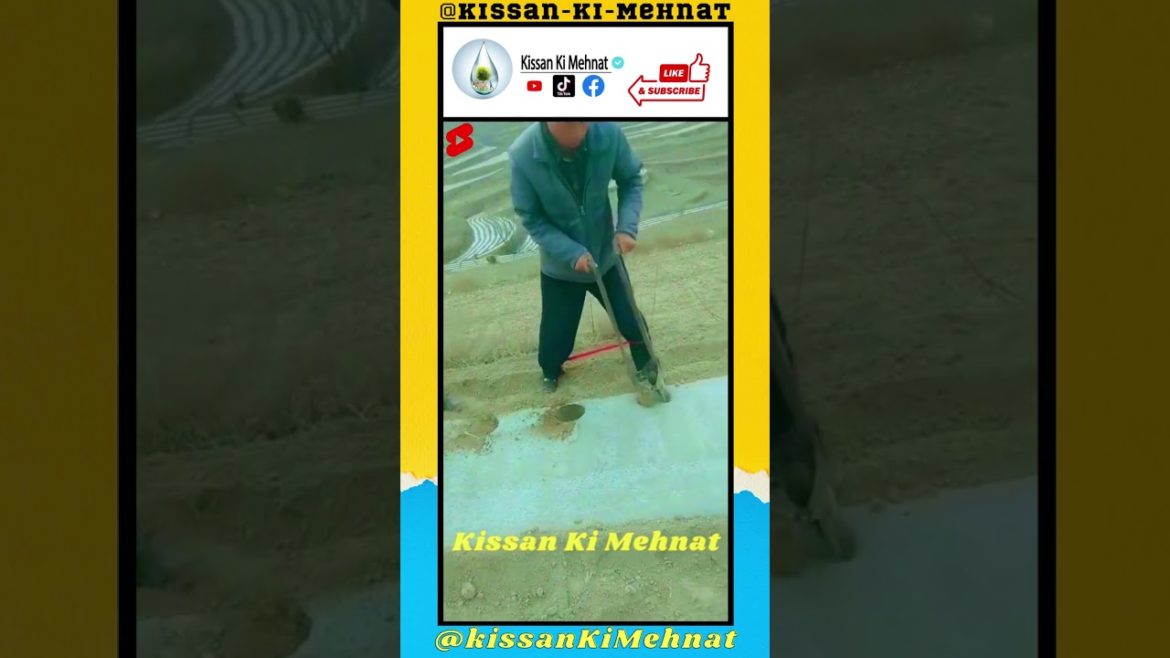 Agriculture Hand Tools / Farming Hand Tools / Gardening Hand Tools #agriculture #grafting #farming