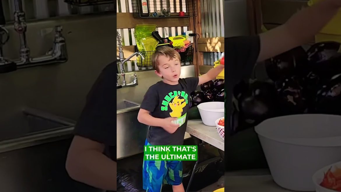 Is this your favorite part of having a garden too? 🍅🌶🥕 #fromseedtotable #howfarmswork