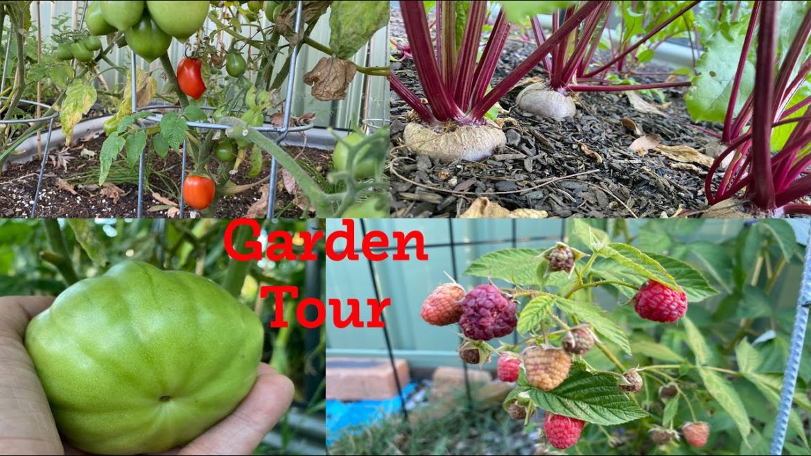 DECEMBER 2022 EDIBLE GARDEN TOUR