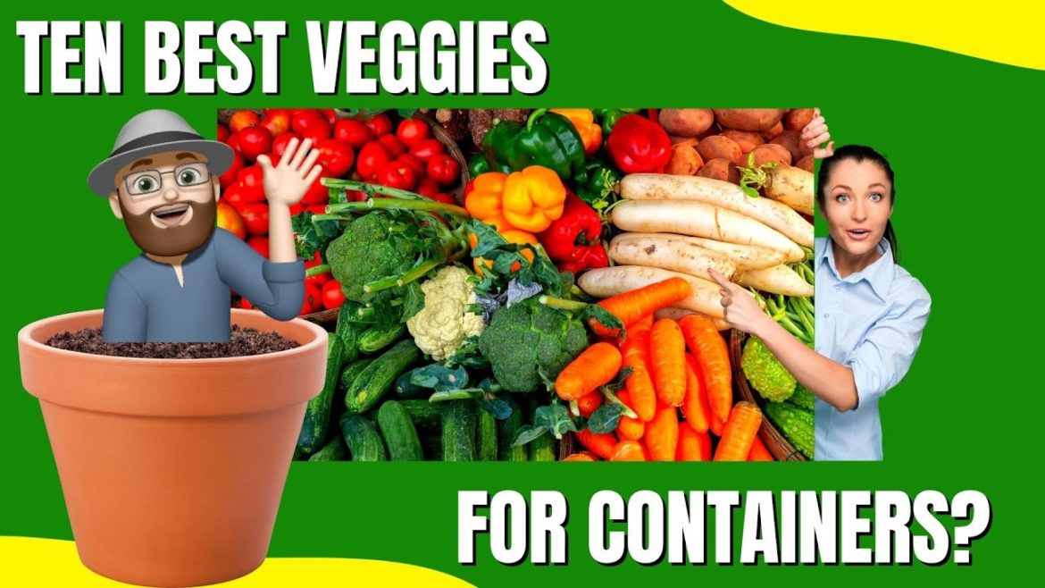 The 10 Best Vegetables to Grow in Containers The 10 Best Vegetables to Grow in Containers