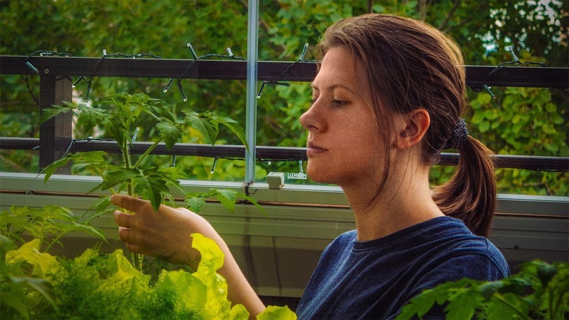 Starting a small Garden on my Balcony. From sowing seeds to the first harvest